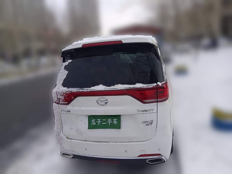 Trumpchi Trumpchi M8