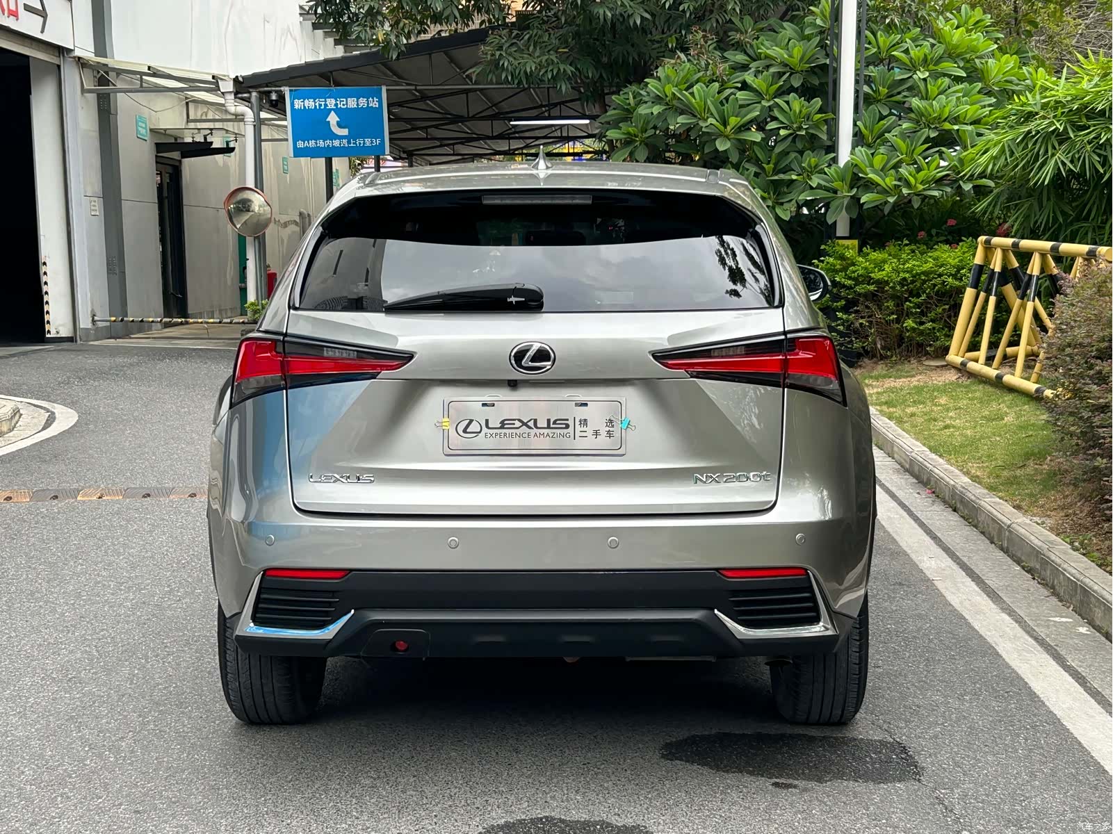 Lexus NX, 2020 все фото