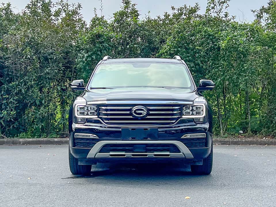 Trumpchi Trumpchi GS8