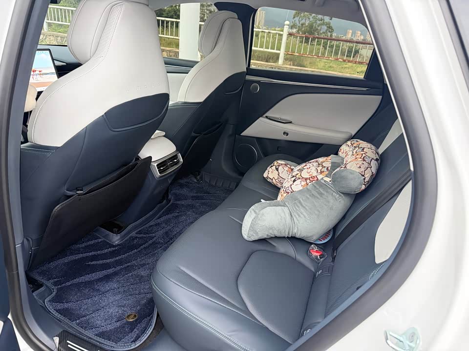 ARCFOX Polar Fox Alpha T5