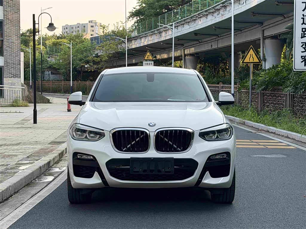 BMW X4 2019 xDrive30i M Sport