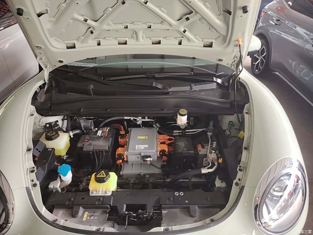 ORA Good Cat, 2023 20