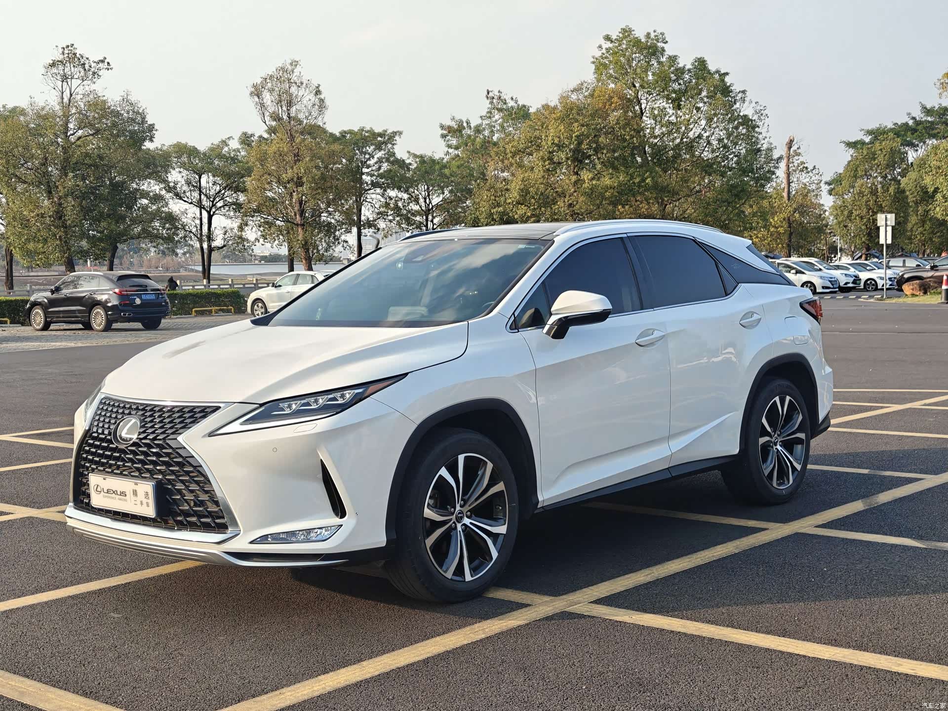 Lexus RX, 2022 1