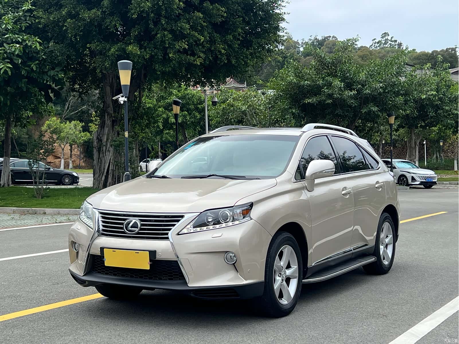 Lexus RX, 2013 1