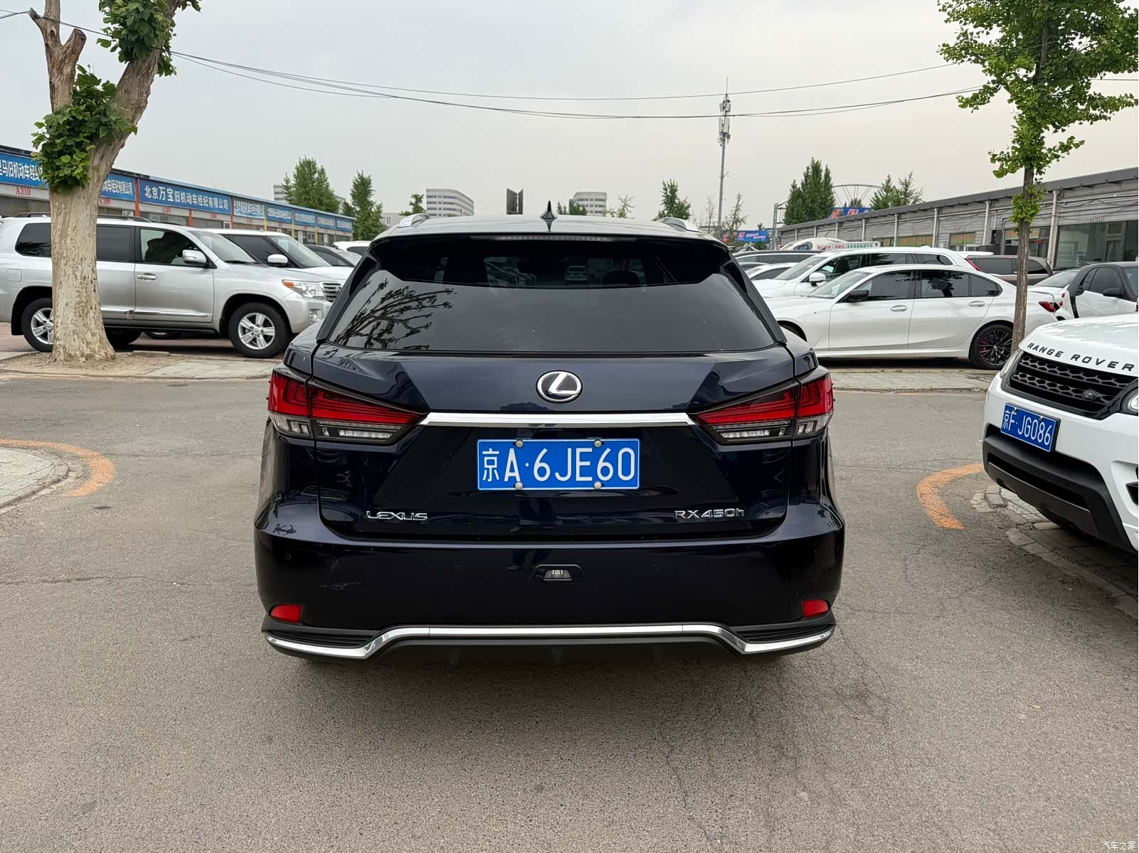Lexus RX, 2020 14