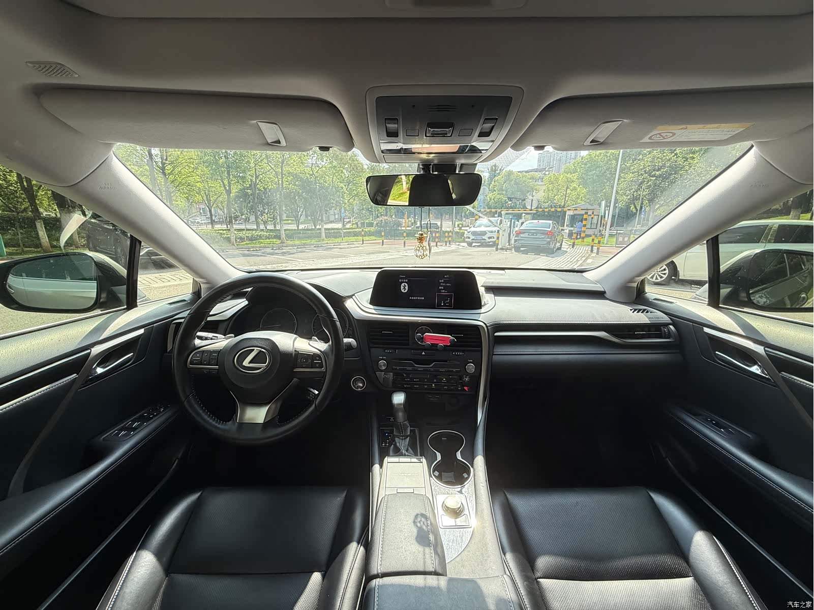 Lexus RX, 2020 все фото