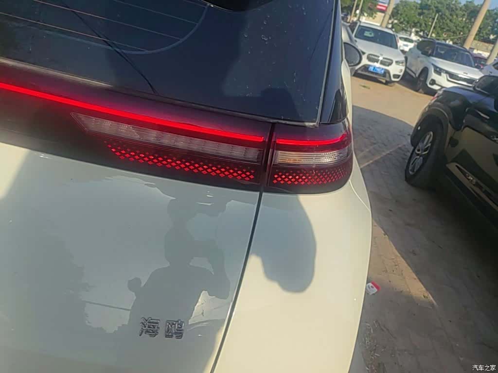 BYD Seagull, 2024 8