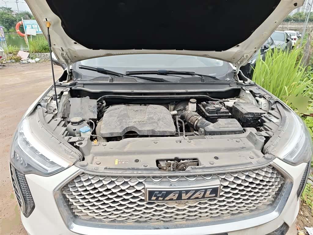 Haval First Love, 2021 16