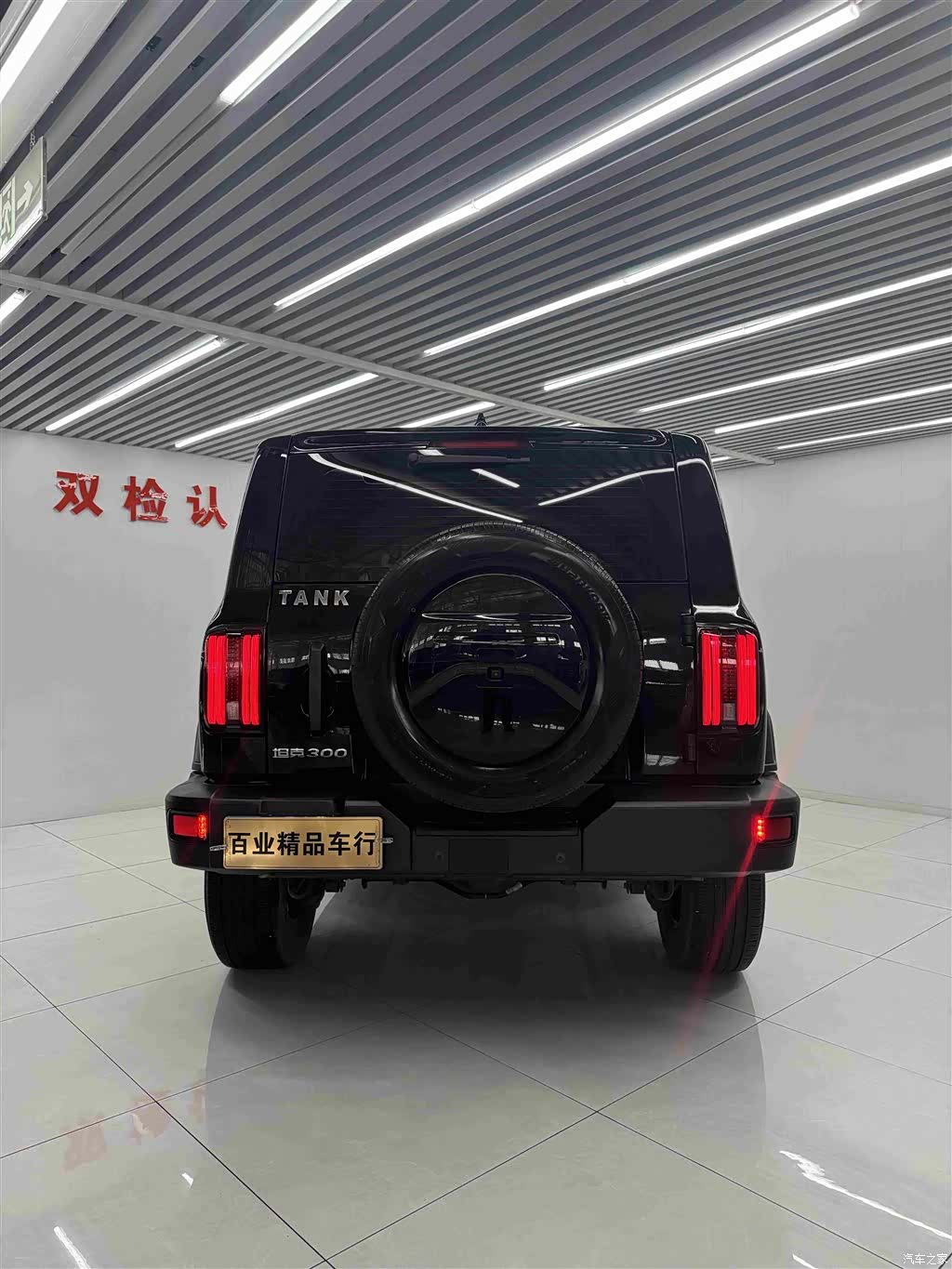 Tank 300, 2021 9