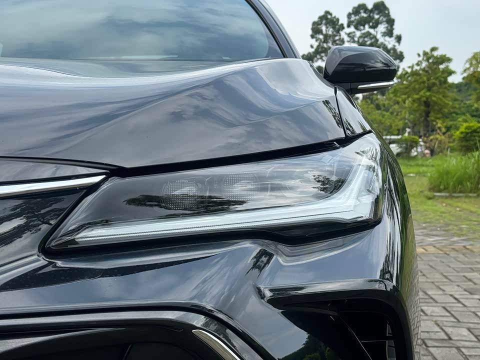Toyota Asian dragon