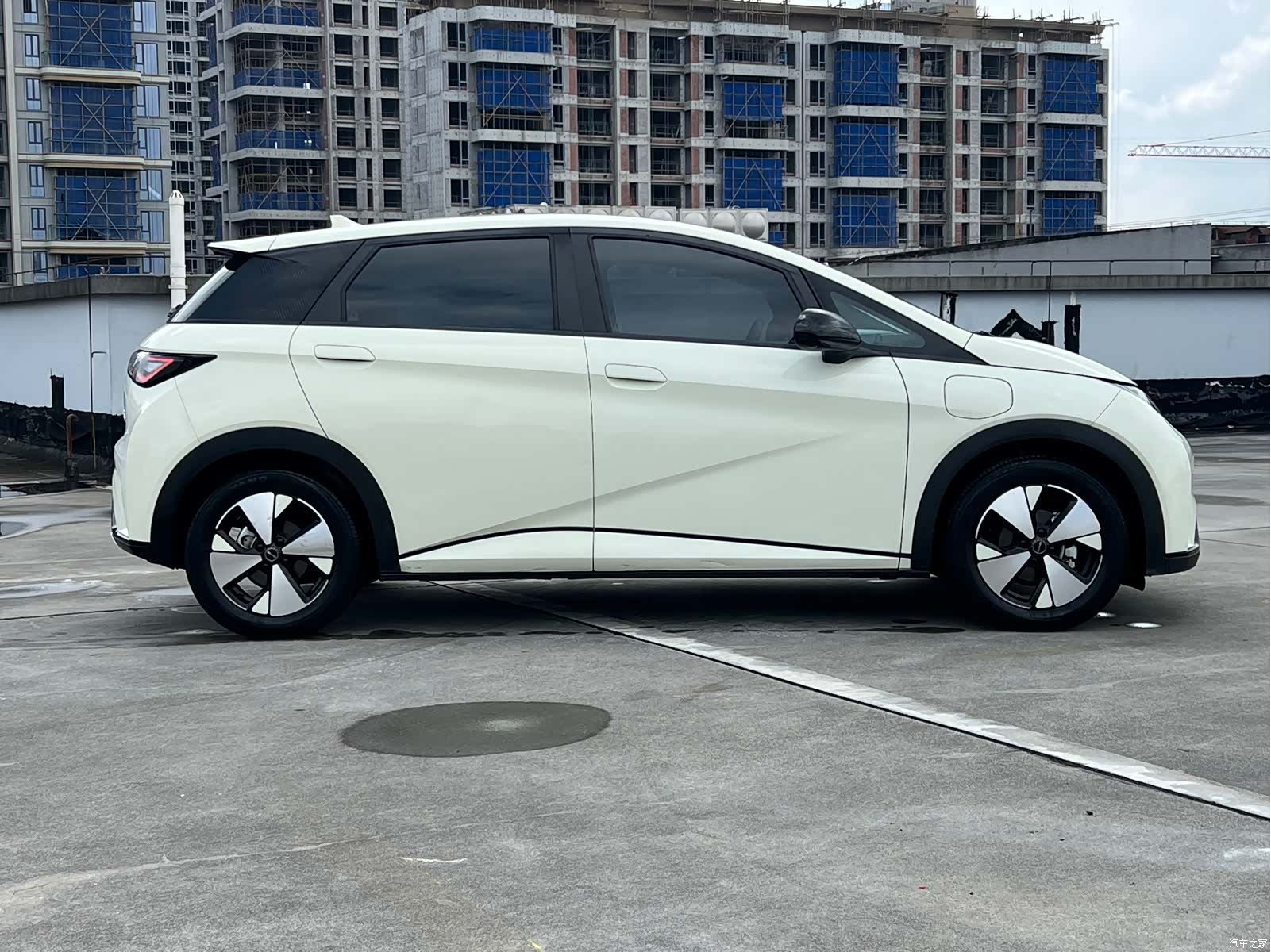 BYD Dolphin, 2023 все фото