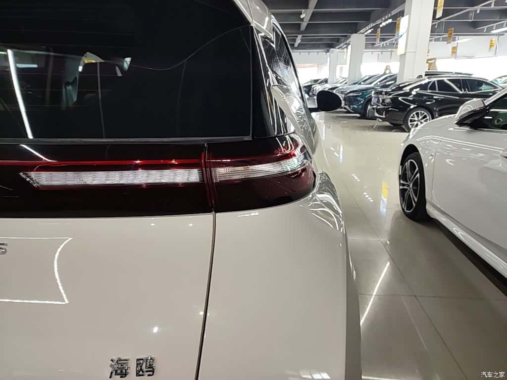 BYD Seagull, 2024 8