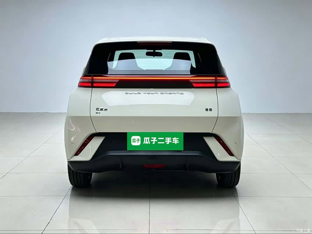 BYD Seagull, 2024 6