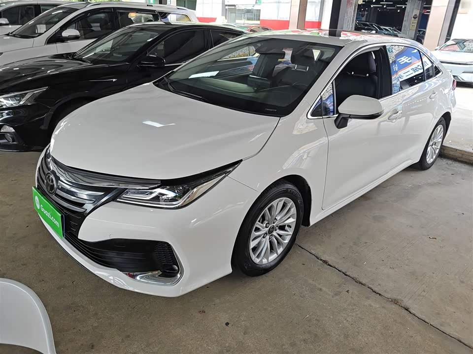 Toyota Asian lion