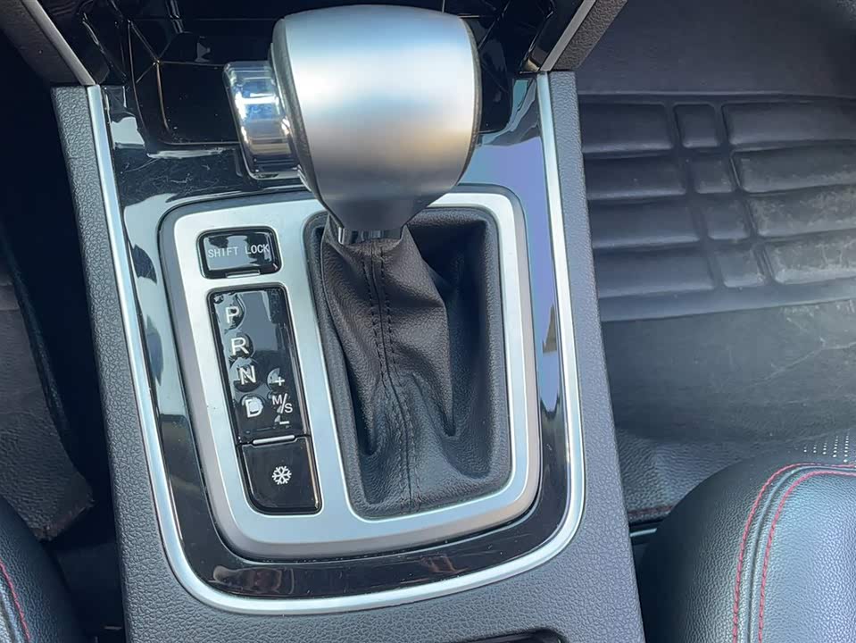 Leopaard Cheetah CS10