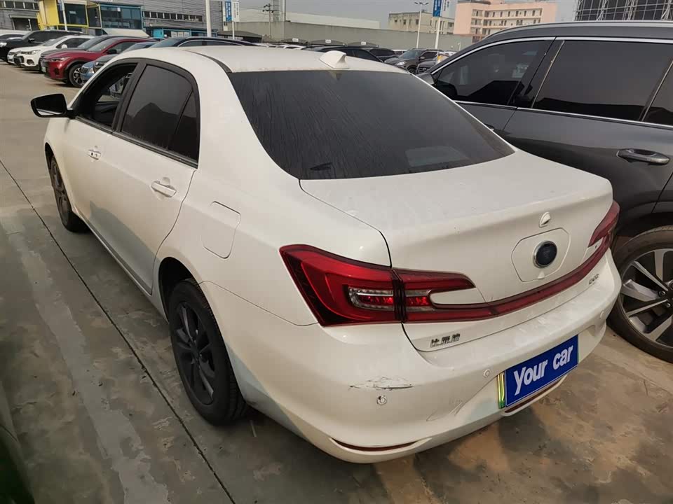 BYD Qinxin Energy