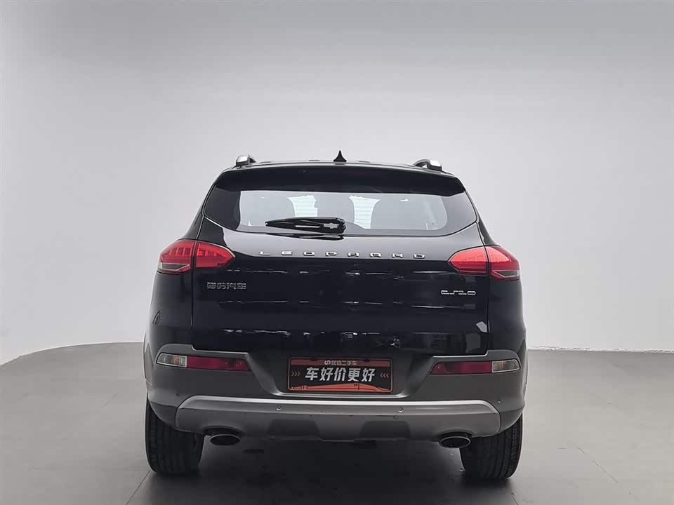 Leopaard Cheetah CS10