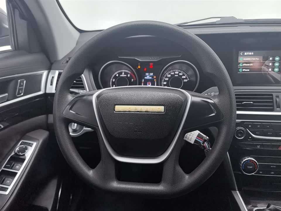 Leopaard Cheetah CS10