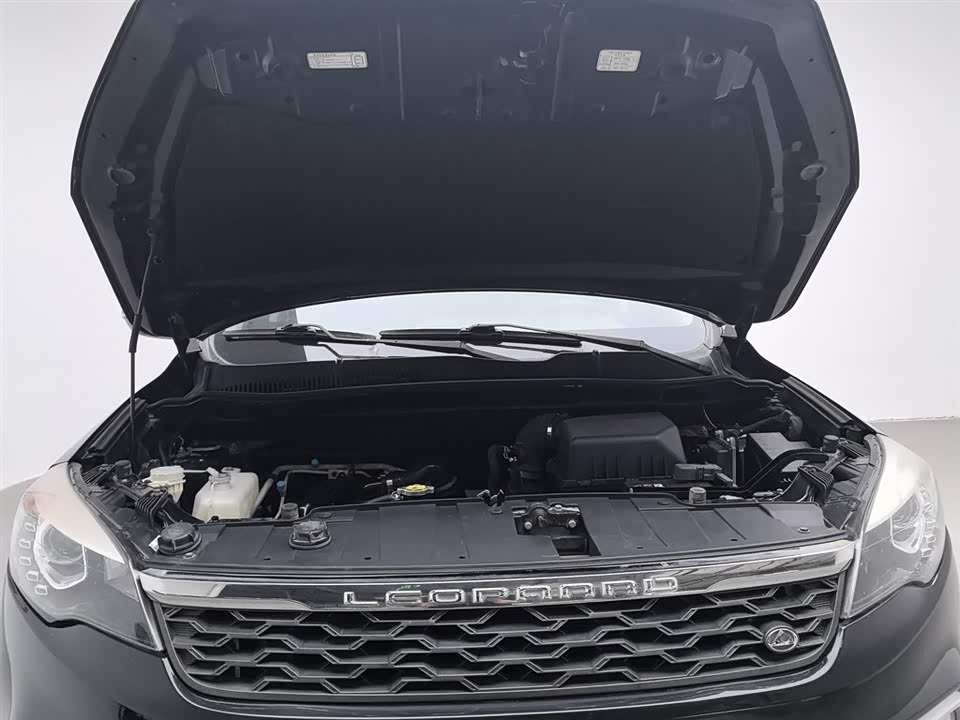 Leopaard Cheetah CS10