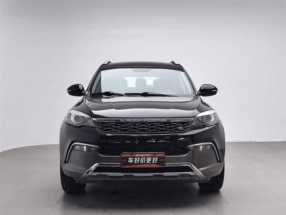 Leopaard Cheetah CS10