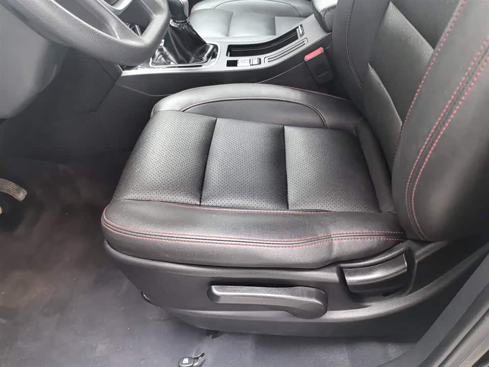 Leopaard Cheetah CS10