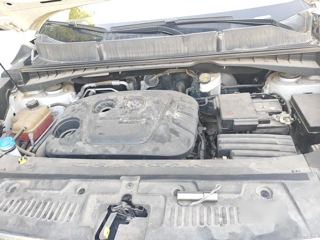 Changan CS55, 2019 11