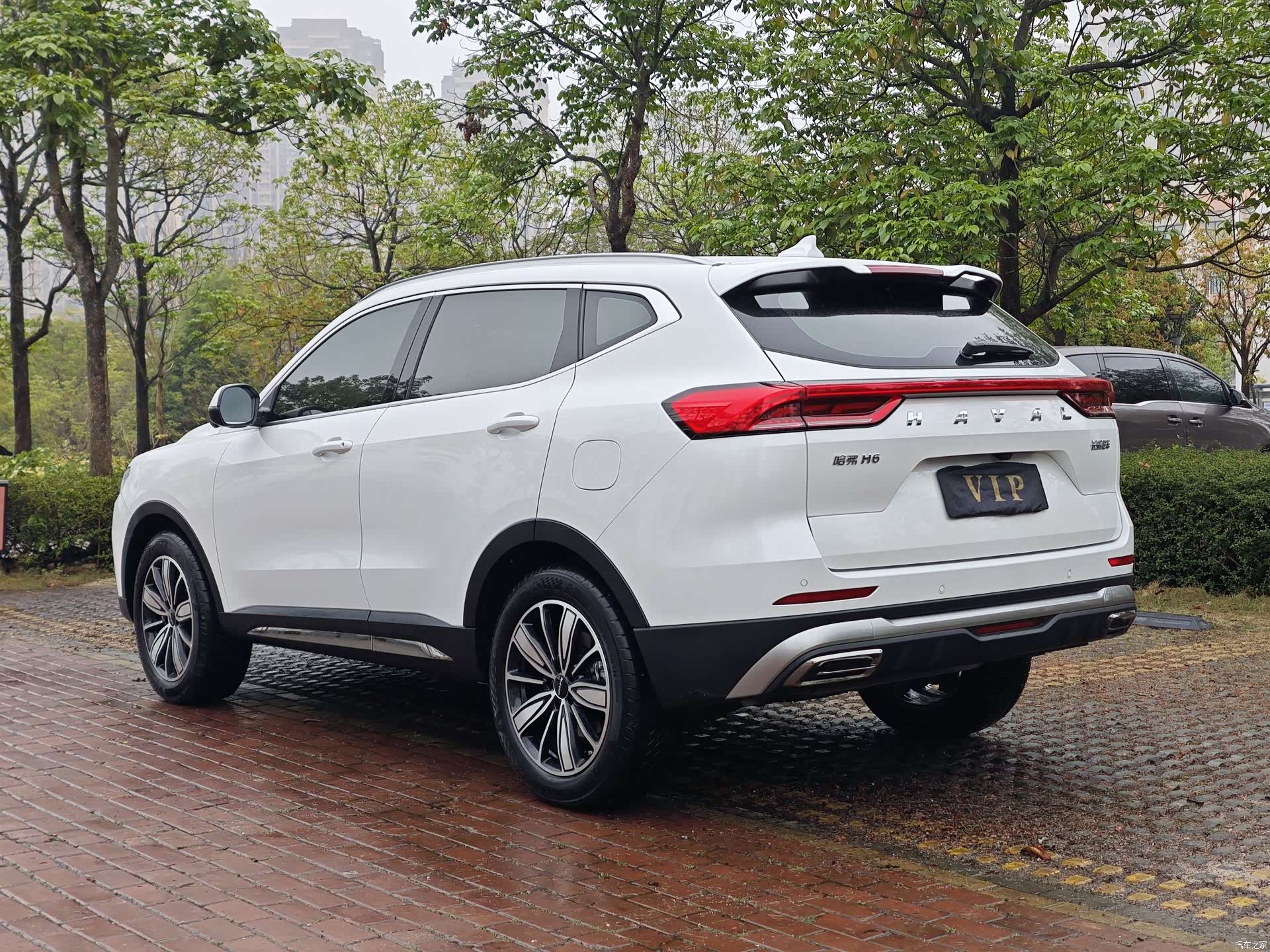 Haval H6, 2024 все фото