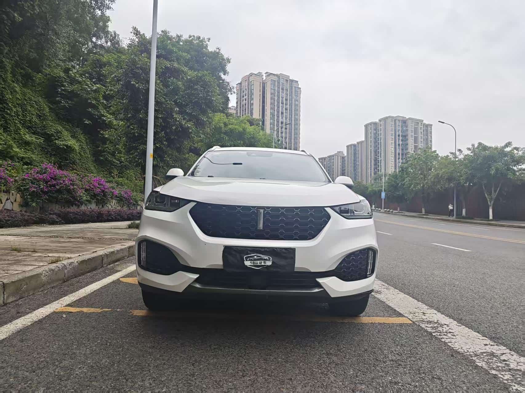 WEY VV6, 2018 2
