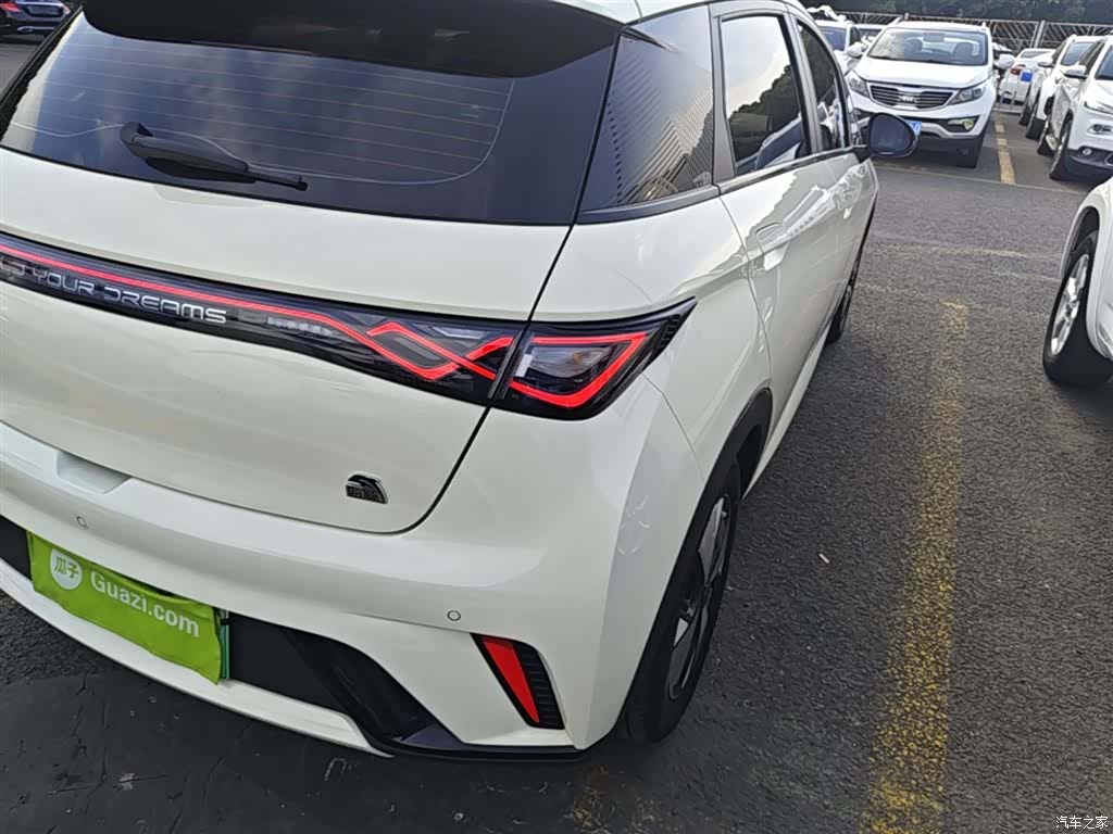 BYD Dolphin, 2024 8