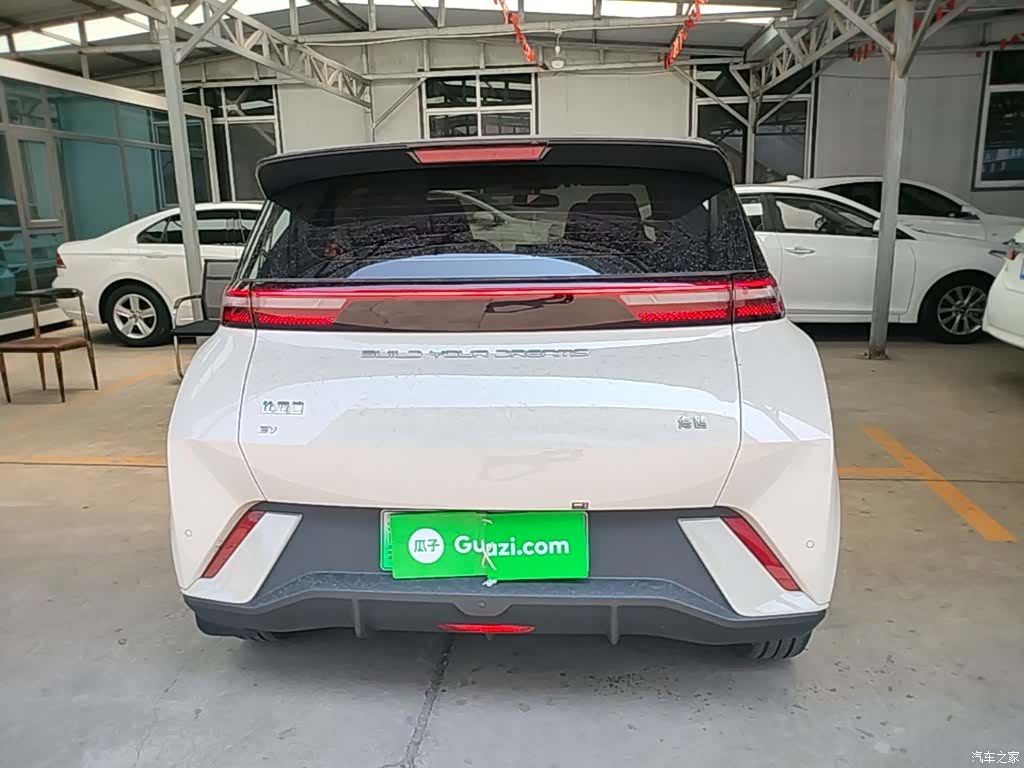 BYD Seagull, 2024 6