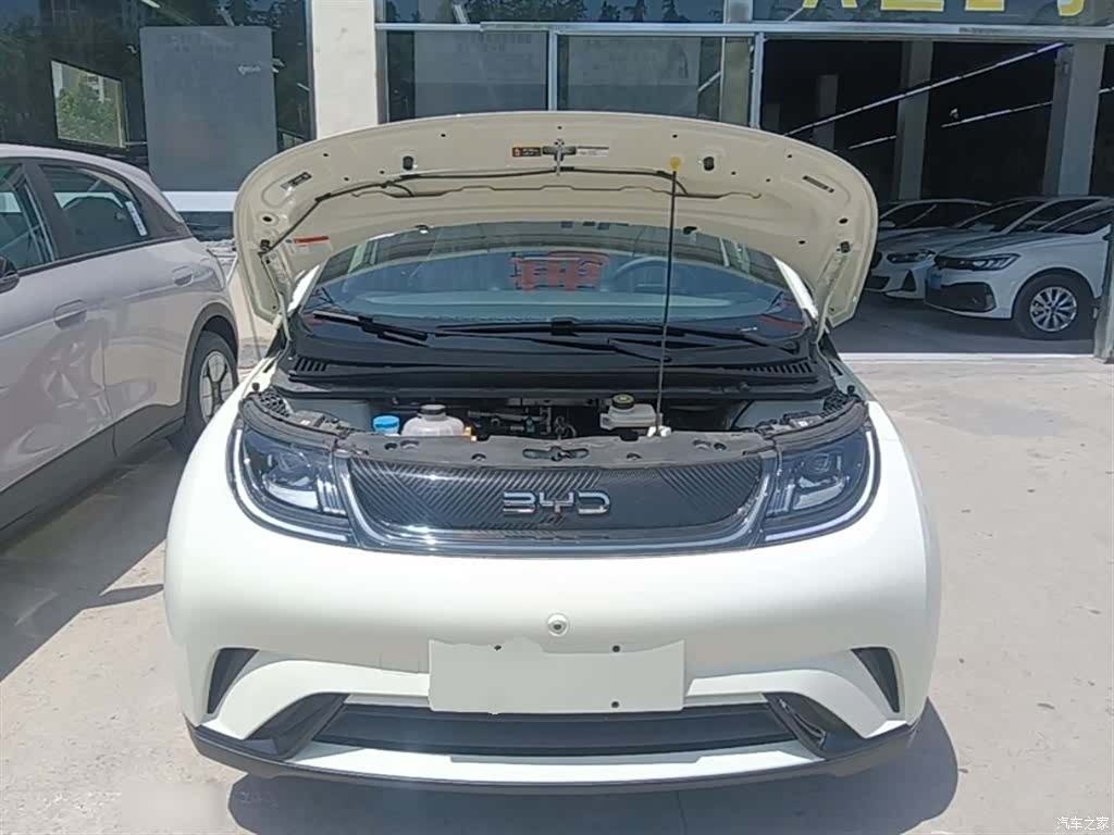 BYD Dolphin, 2026 20