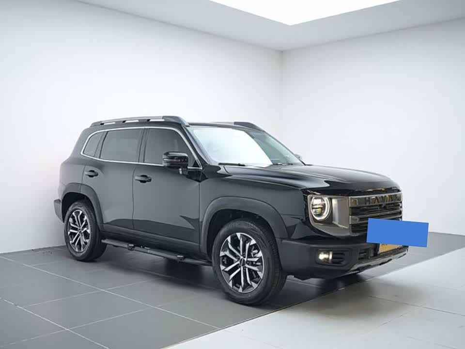 Haval Big dog