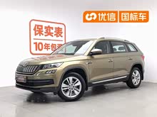 �µ��ǿ� 2017�� TSI330 5������������