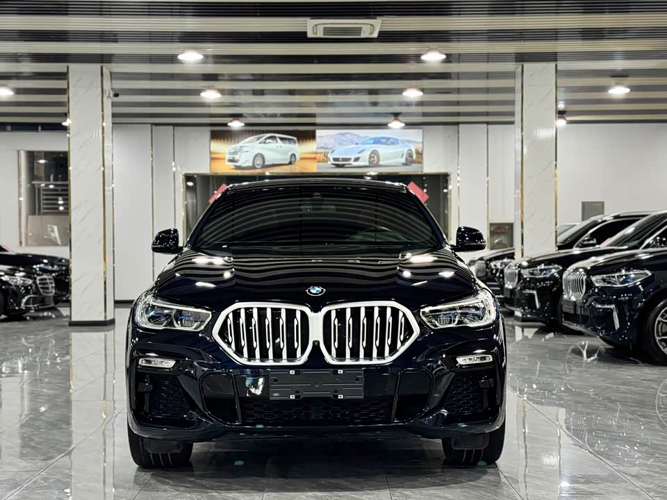 BMW X6