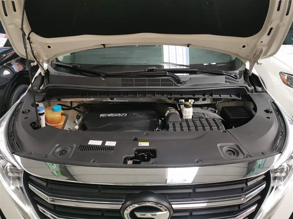 Trumpchi Trumpchi M8