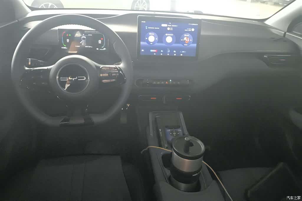BYD Seagull, 2024 12