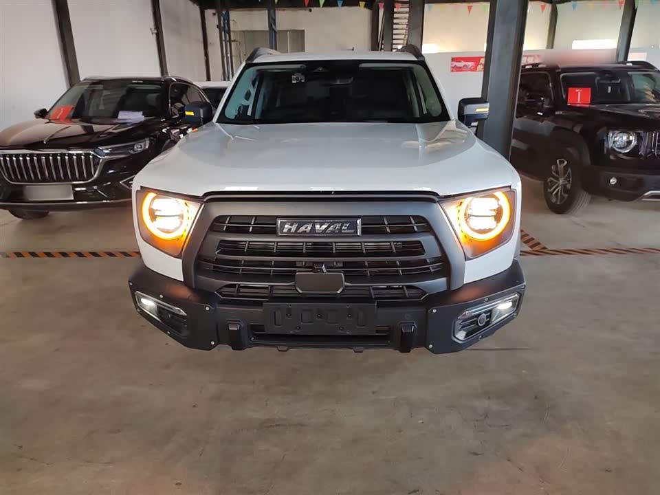 Haval Big dog
