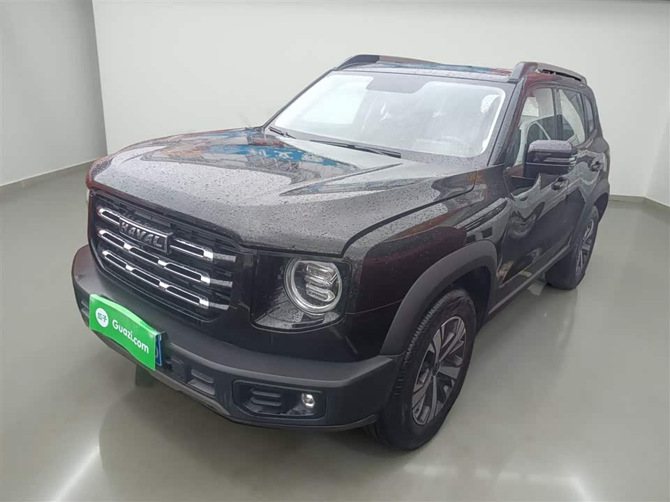 Haval Big dog