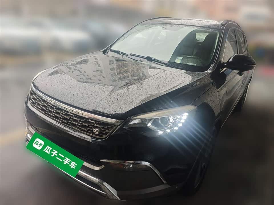 Leopaard Cheetah CS10