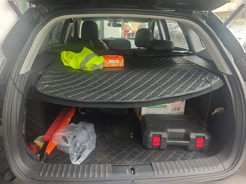 Leopaard Cheetah CS10