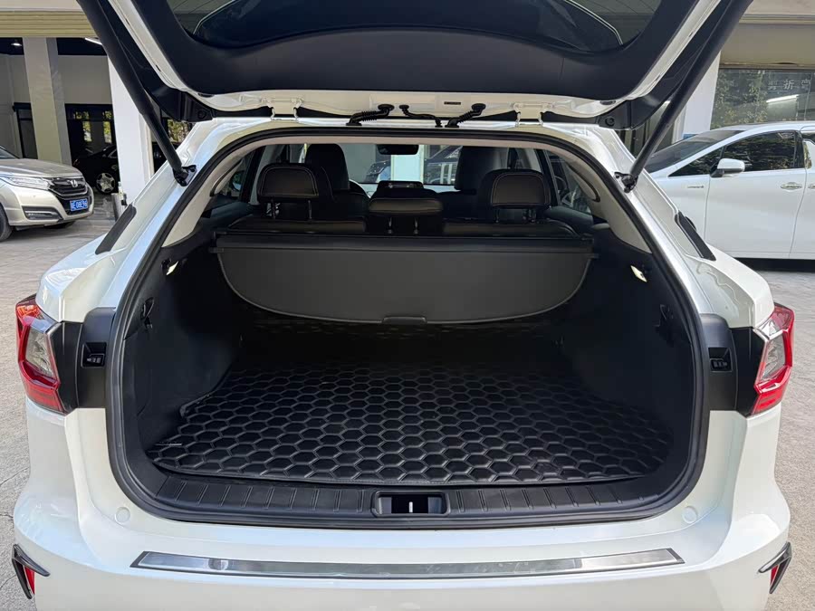 Lexus RX 2017, фото 13