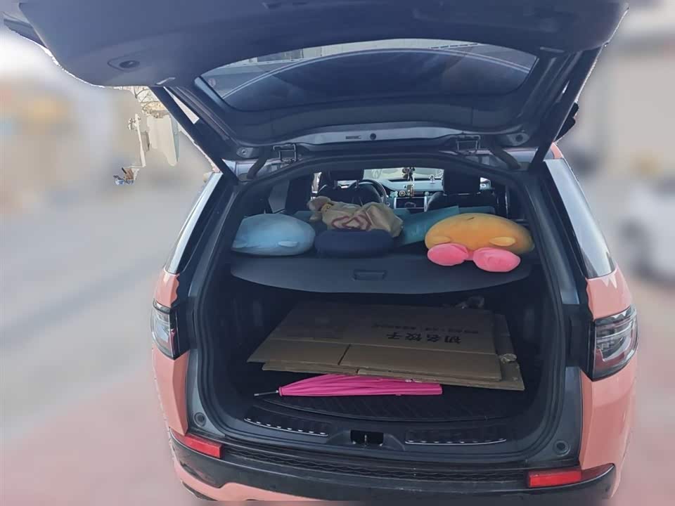 Land Rover Discover sports