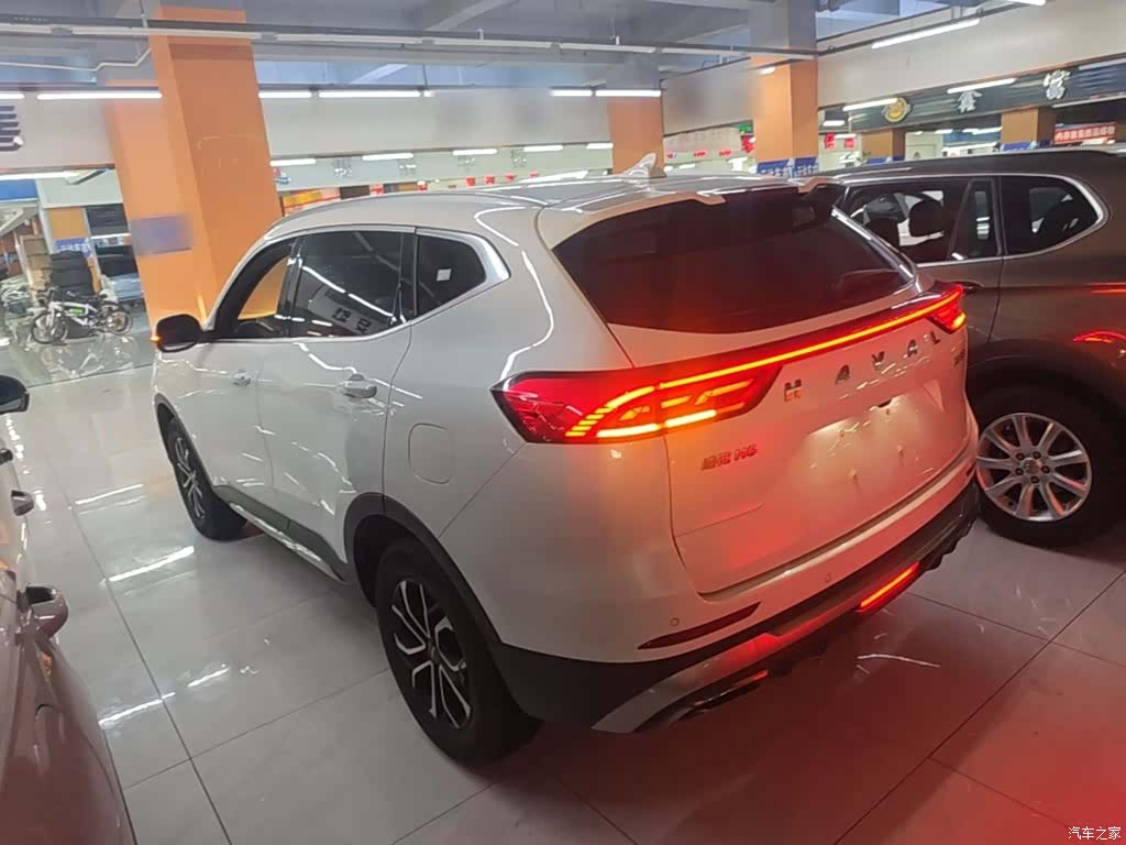 Haval H6, 2024 все фото