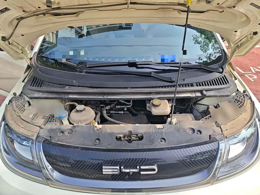 BYD Dolphin, 2024 11