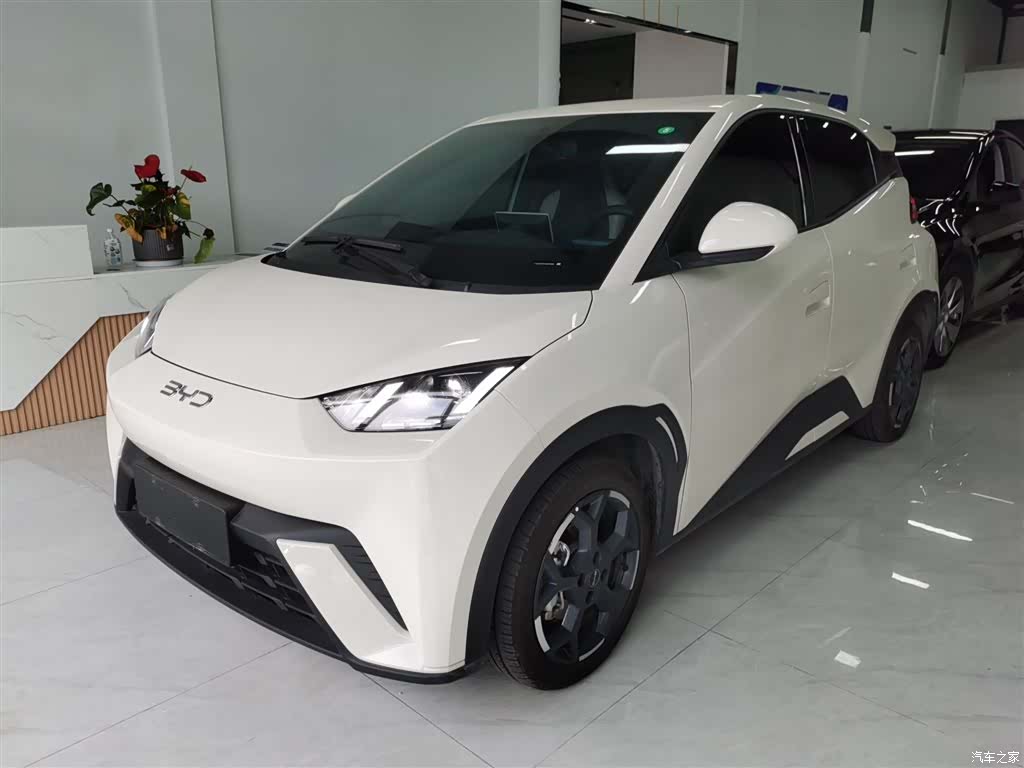 BYD Seagull, 2025 1