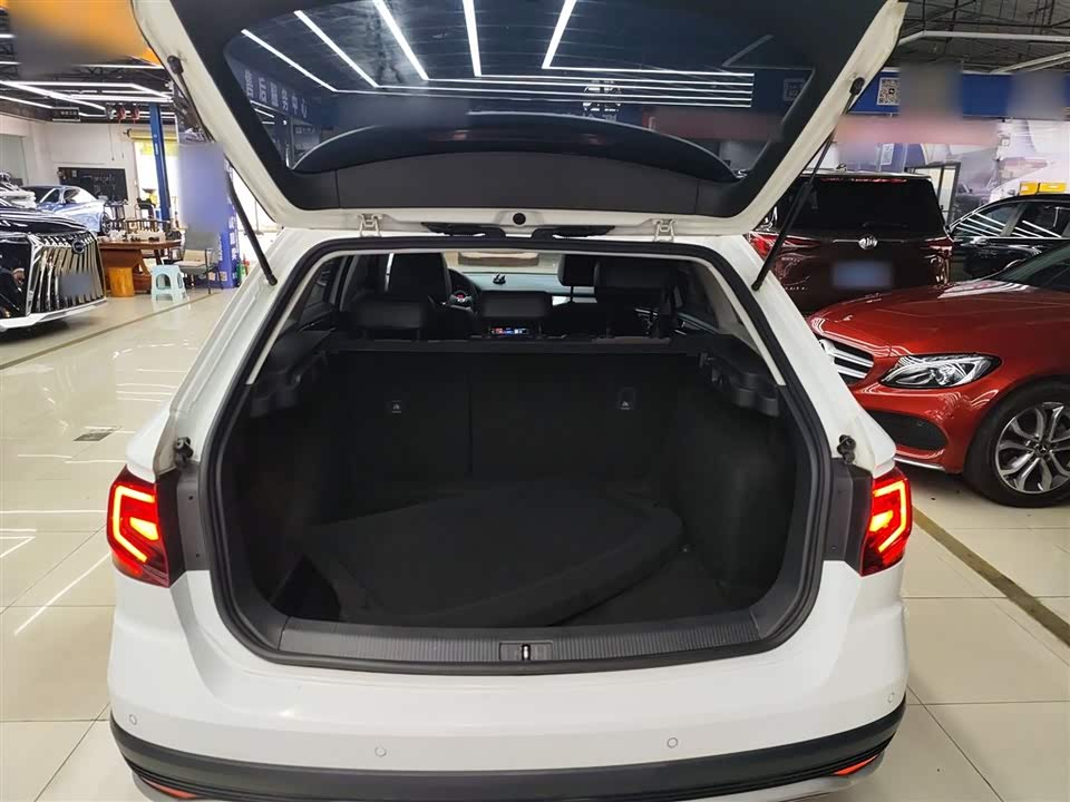 Volkswagen C-TREK Wei Collar