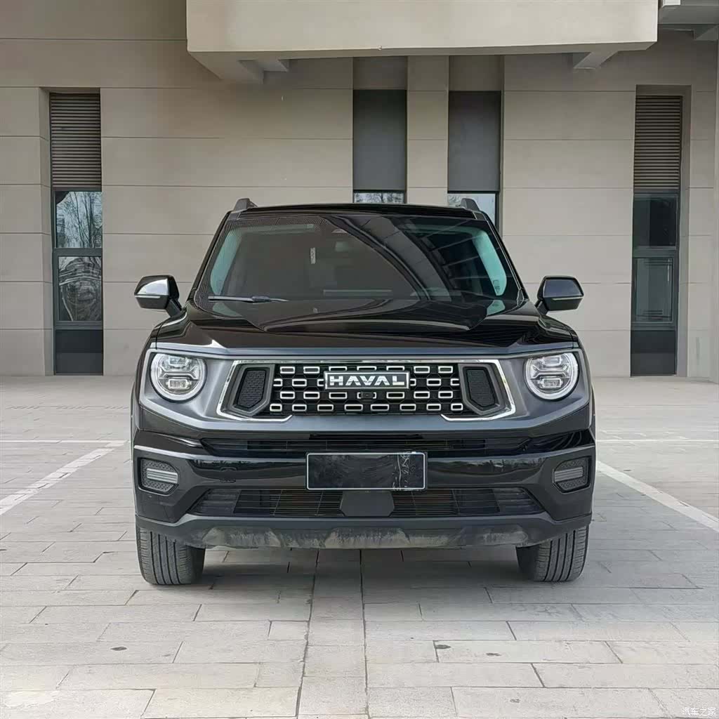 Haval Big Dog, 2024 3