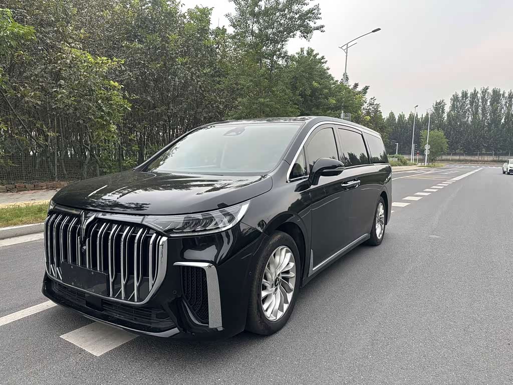 Voyah 2024 PHEV Luxury