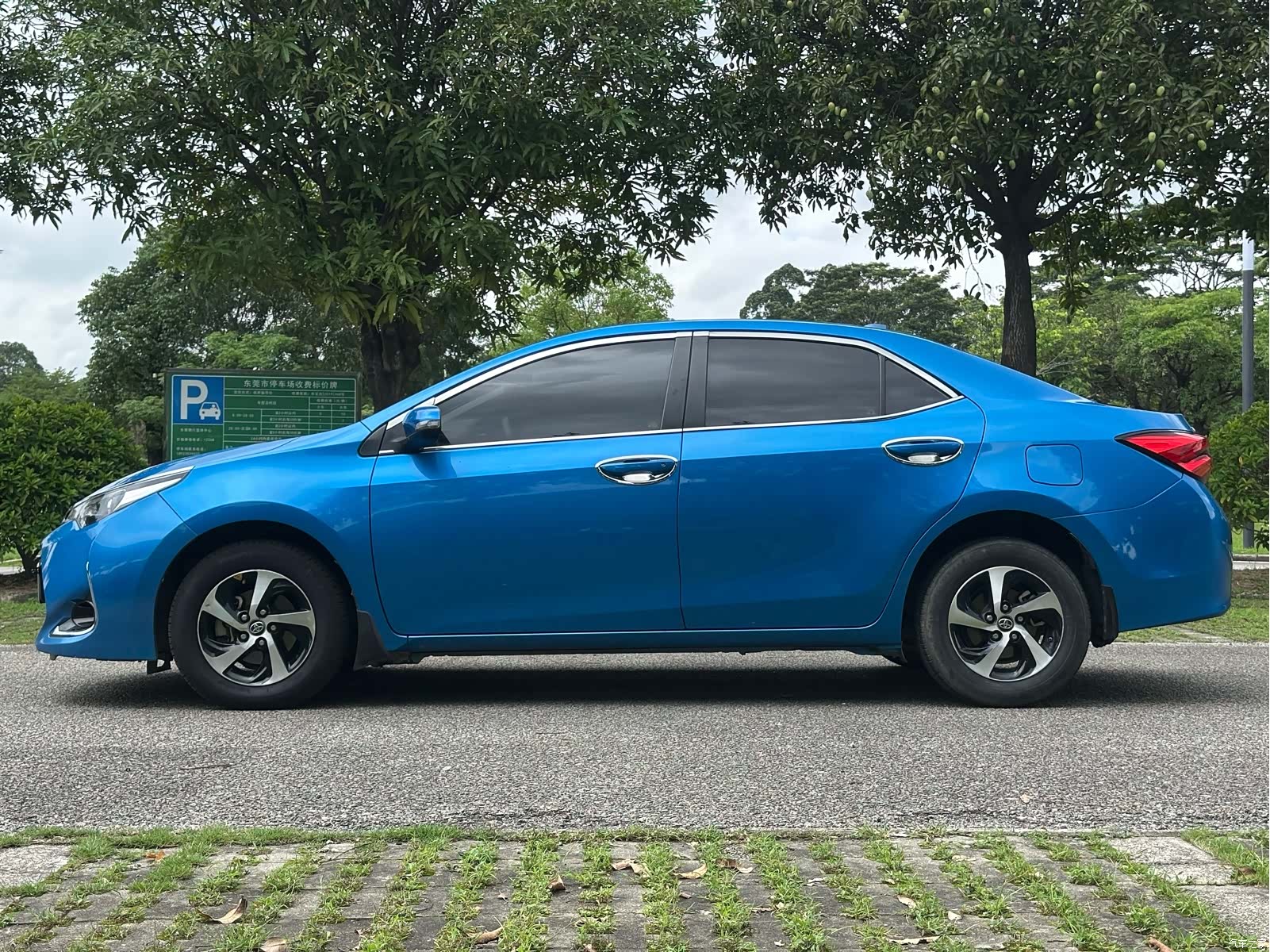 Toyota Levin, 2019 4