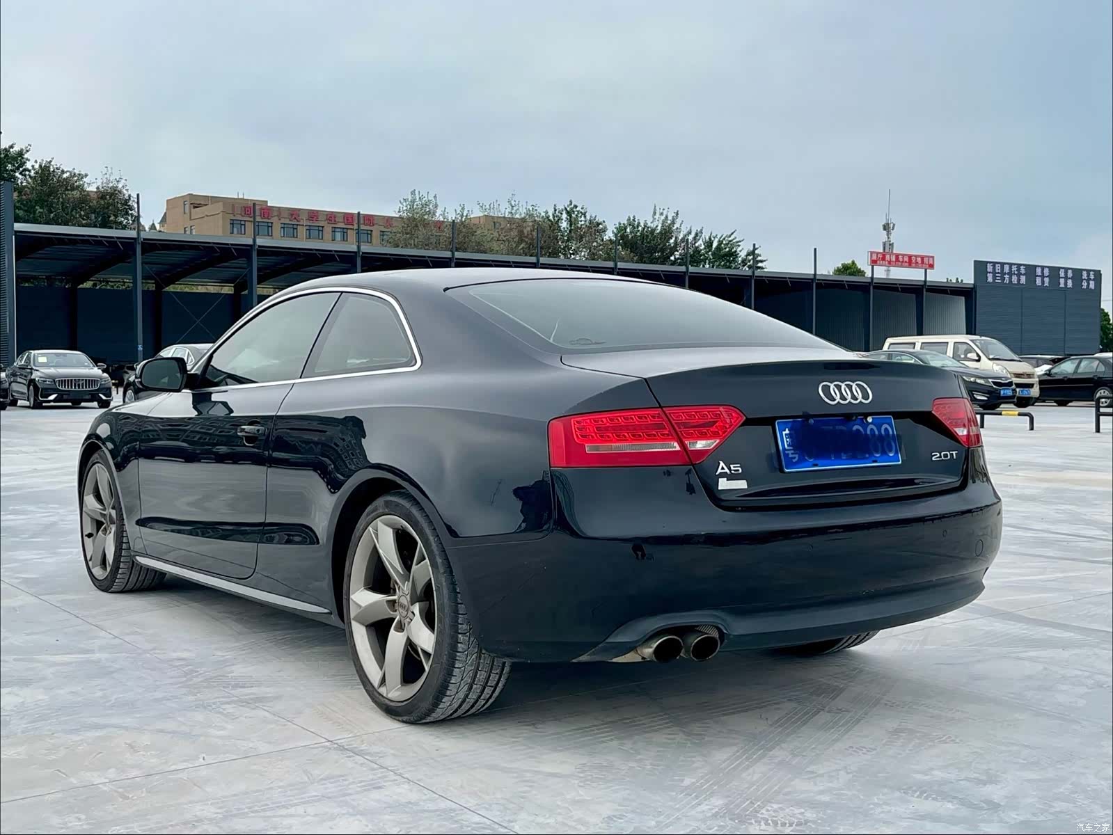 Audi A5, 2012 все фото